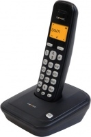 �������� ���������: dect ��������