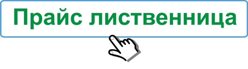 ������� ���������: ����� �����������