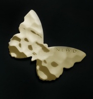 ������� ��������� ���������: newd